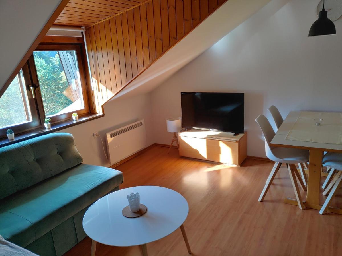 קרנייסקה גורה Ajda Apartment מראה חיצוני תמונה